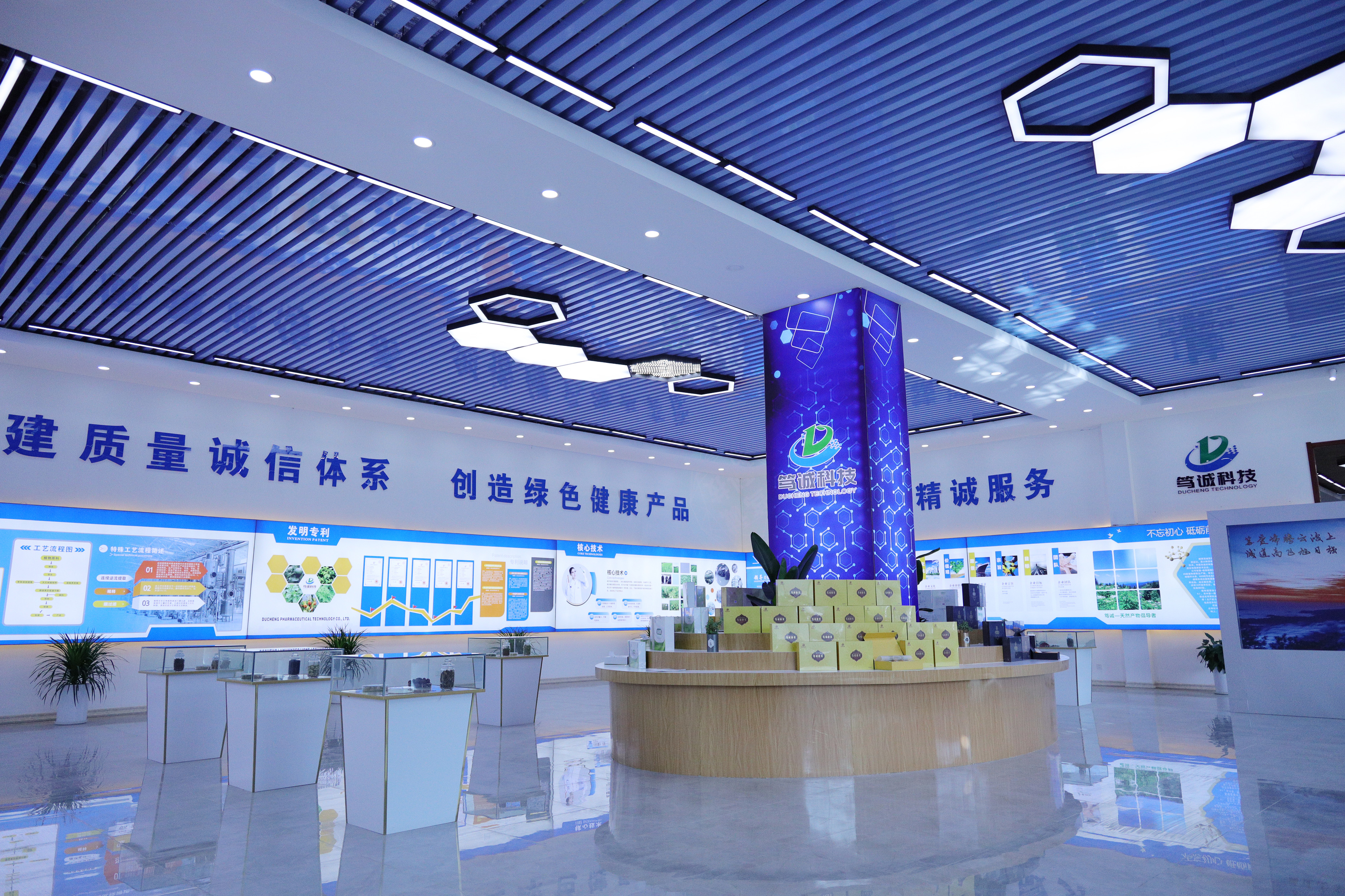 Shaanxi Duocheng Pharmaceutical Technology Co., Ltd. – other soft drinks 2