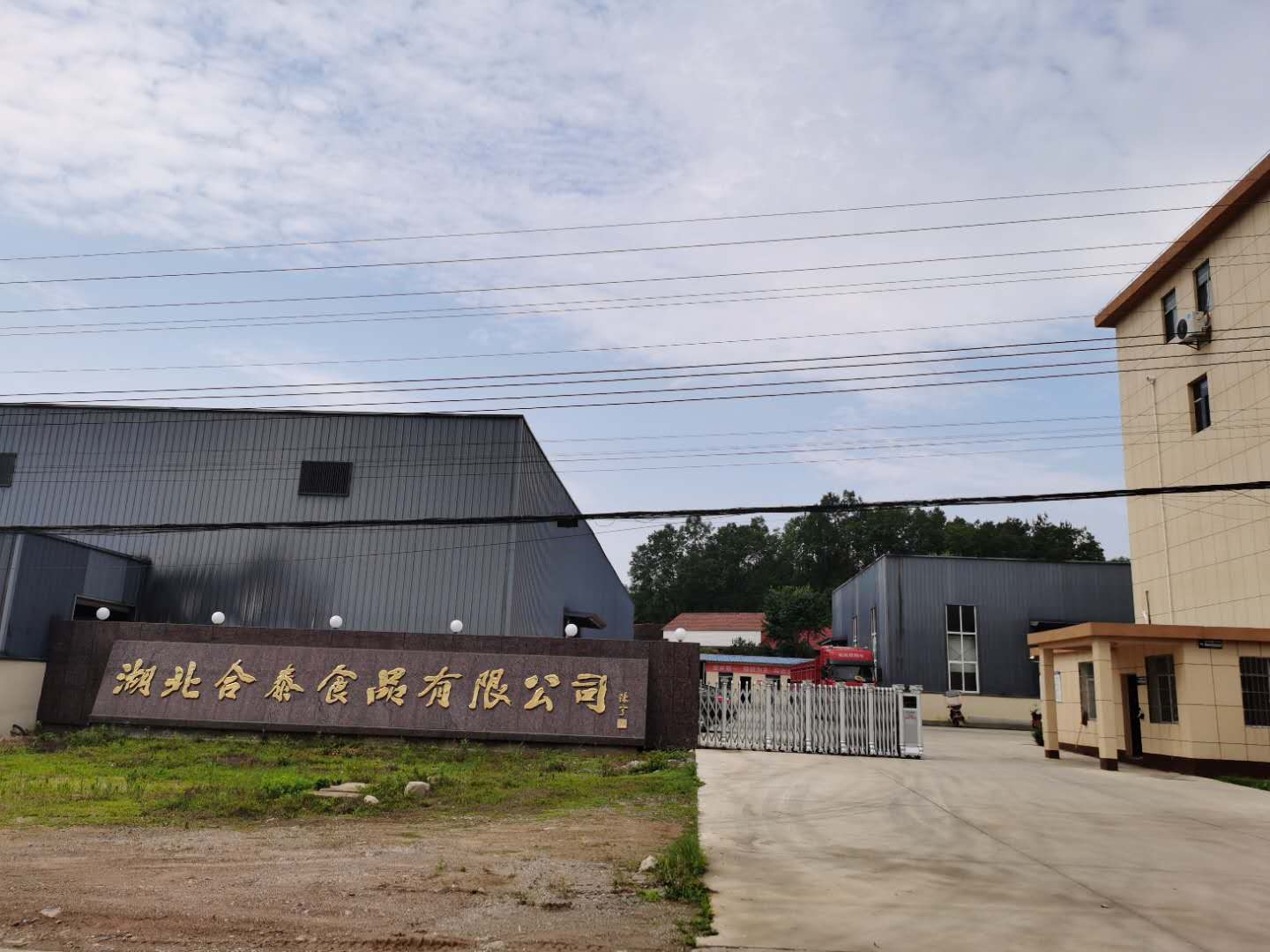 Hubei Hetai Food Co., Ltd. – 菇类 1