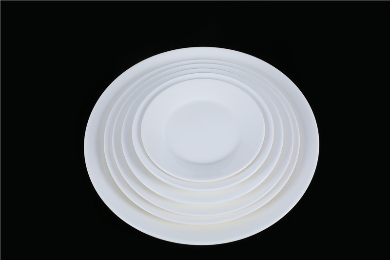 Porcelain Dinner Plate