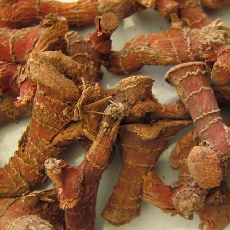 QIUBEI YUNNONG AGRO PRODUCTS CO.,LTD – colchoneta de yoga 4