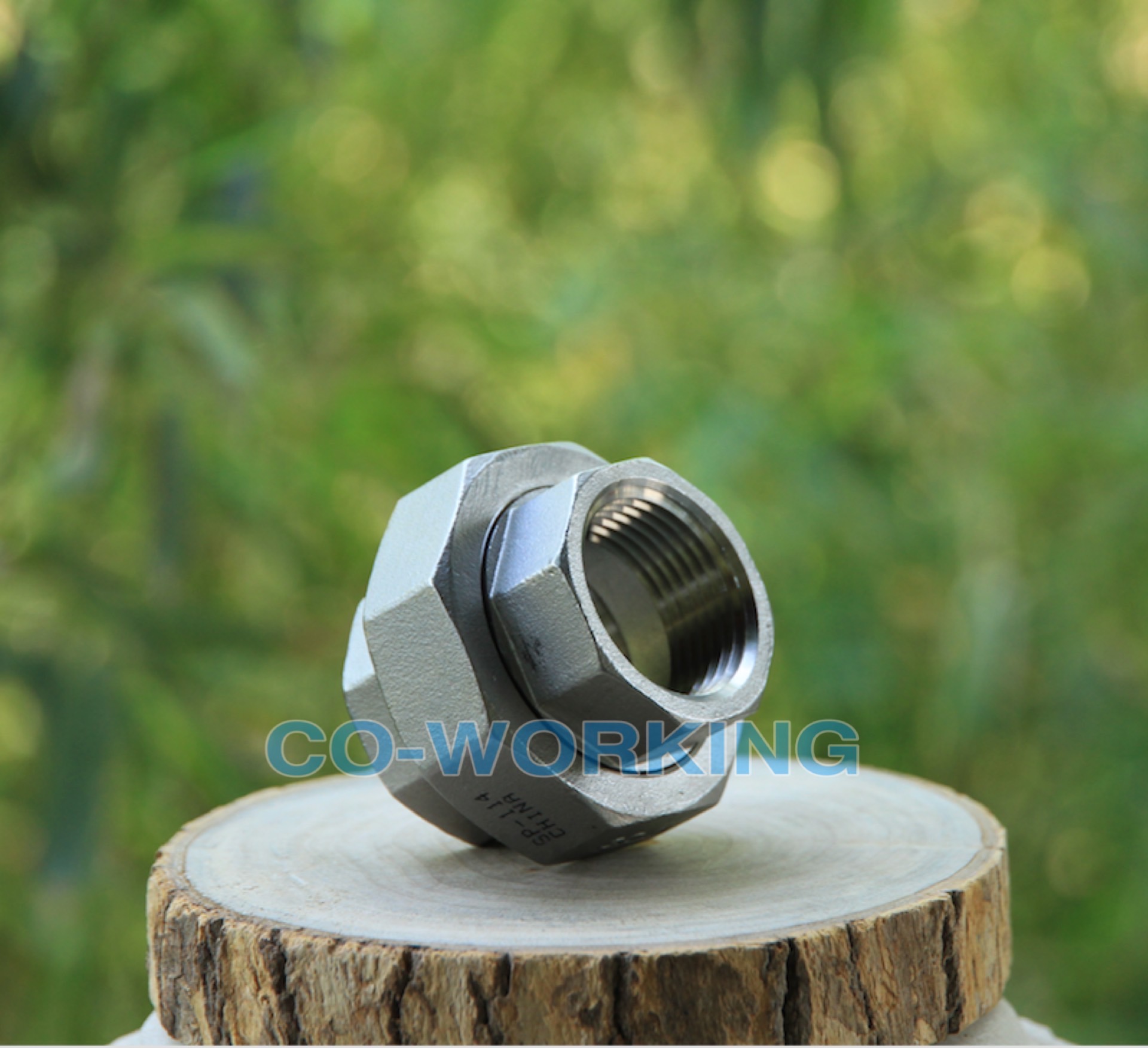 Stainless Steel Casting Union