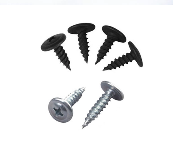 Water Head Philips Self Tapping Screws