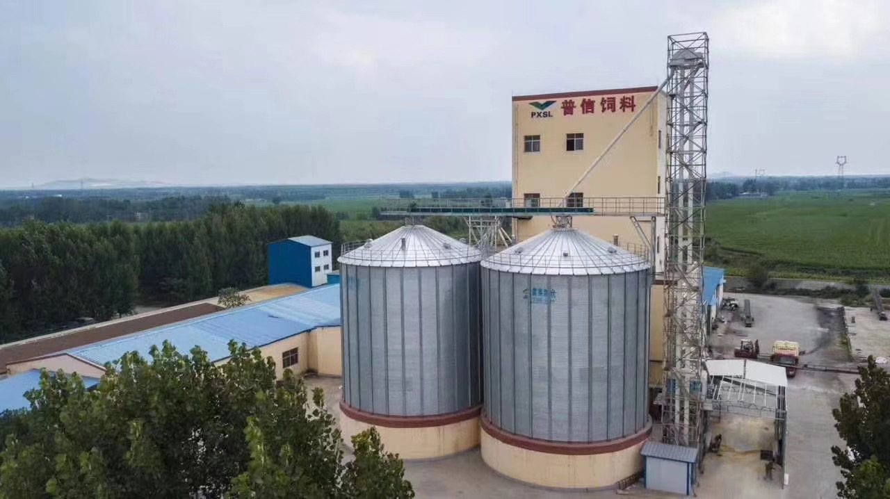 Flat Bottom Grain Storage Silos 200tons to 10000tons