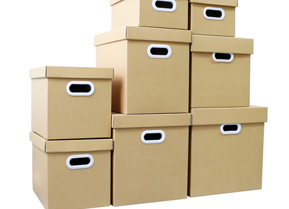 Hollow Carton
