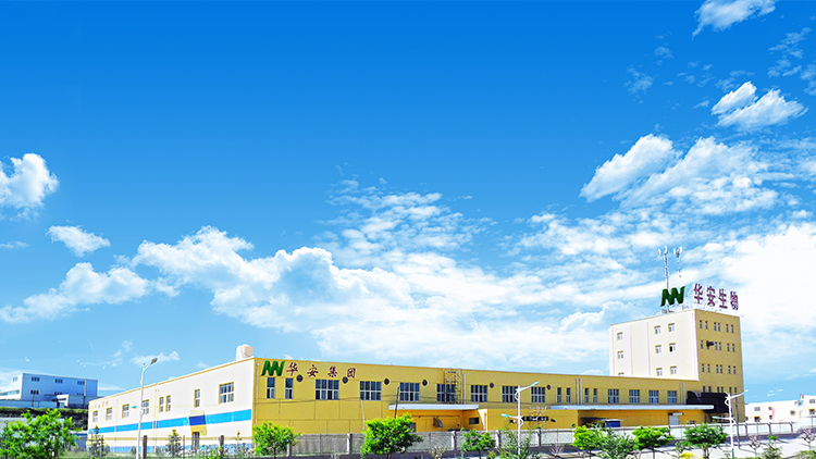 Linxia Hua'an Biological Products Co., Ltd. – Photos produits 2