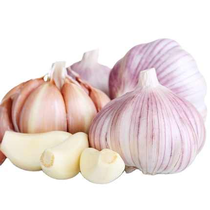 QINGDAO WOHING FOOD CO.,LTD. – Fresh onion 3
