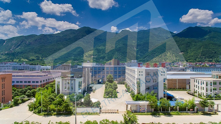 Taizhou Huizheng Automotive Motor Co., Ltd. – Electronic fuel pump 1