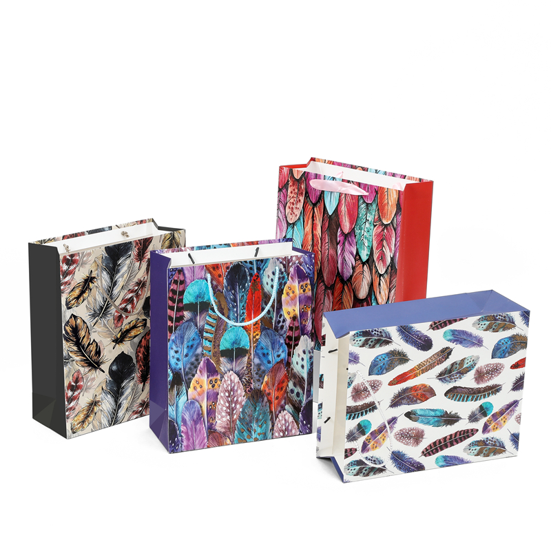 Hot Sale New Design Daily Gift Packing Paper Bags
