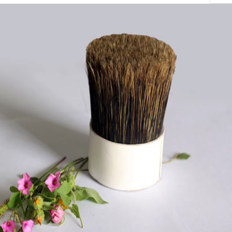 Wild bristle