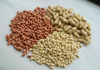 peanut