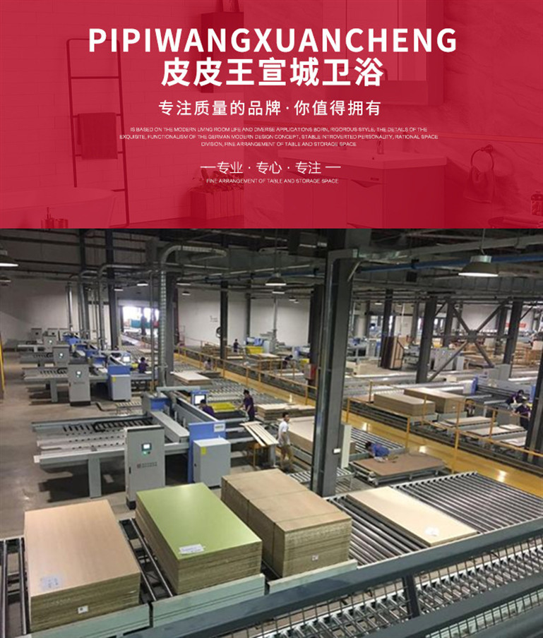 Anhui Pipi Wang Jiajia Kitchen and Bath Co., Ltd. – 产品图片 2