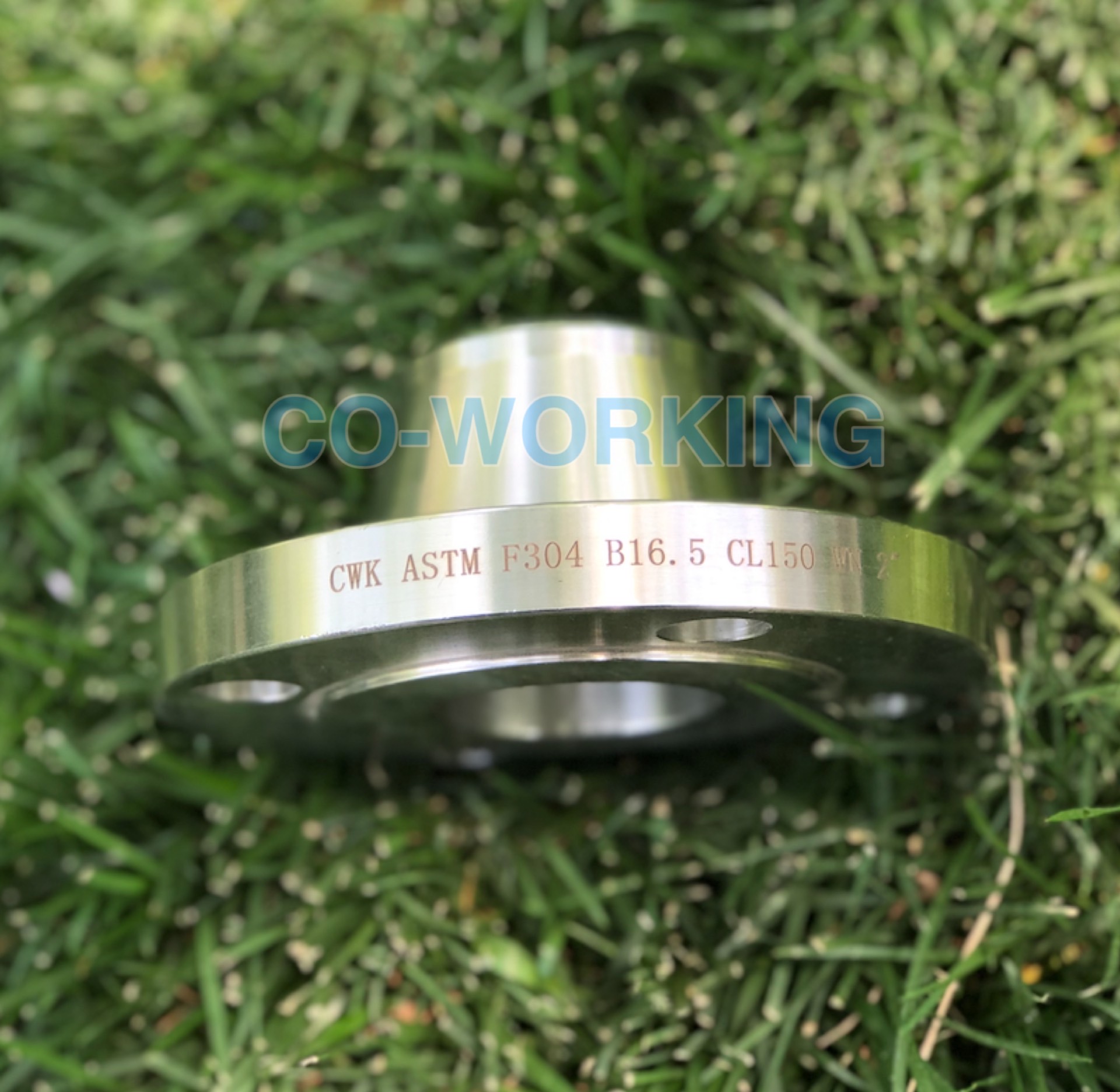 Stainless Steel Forged Wn Flange