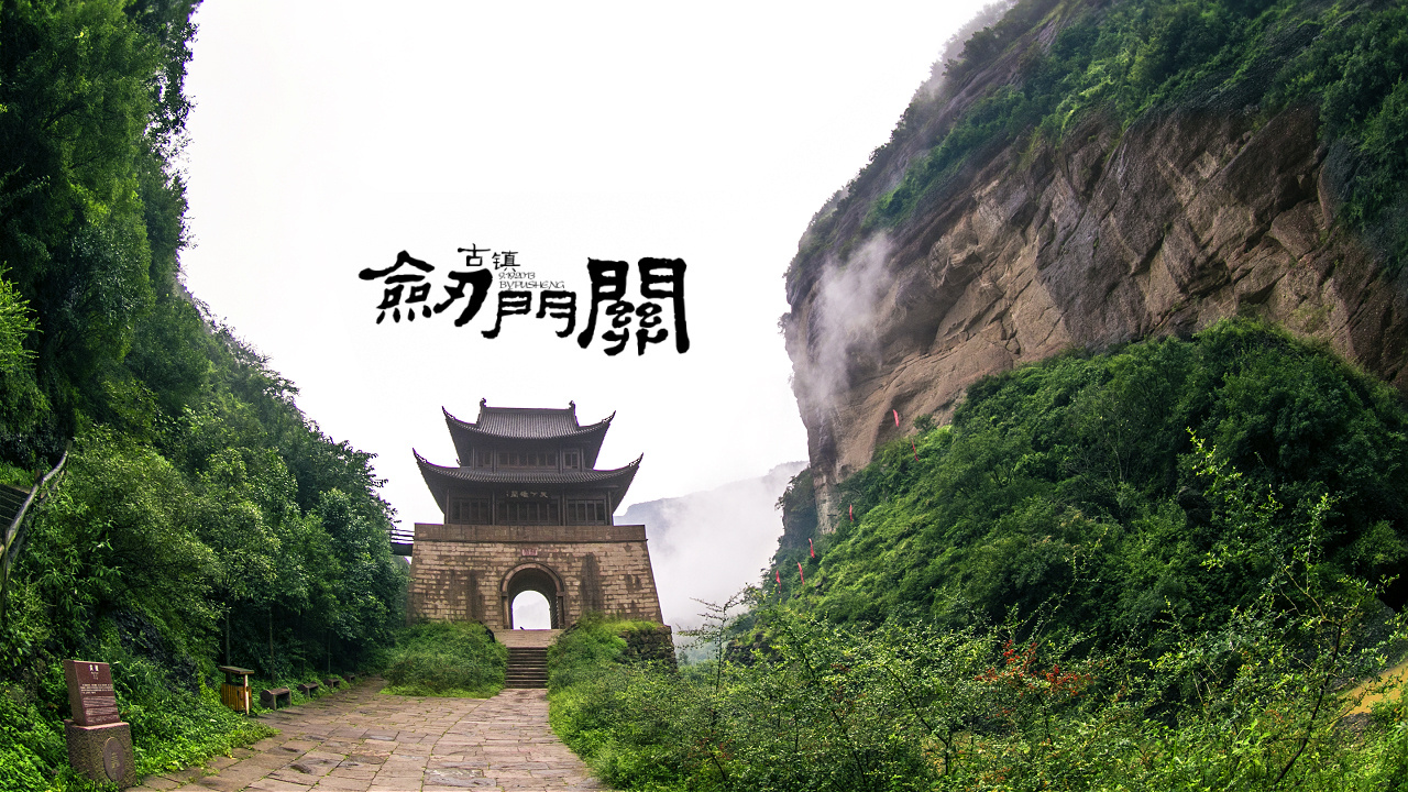 Jiange County Tianxingjian Trading Co., Ltd. – Tofu 1