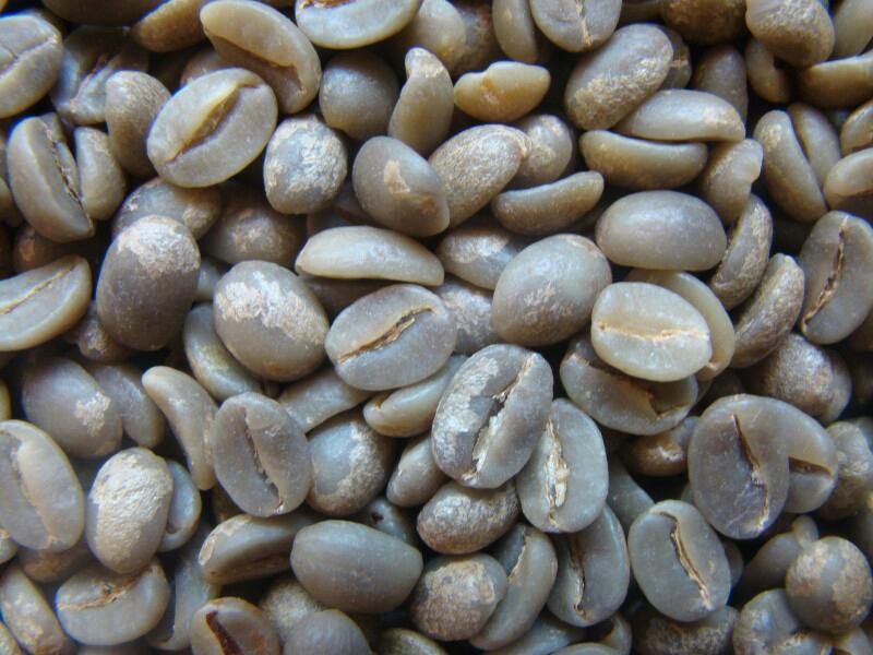 QIUBEI YUNNONG AGRO PRODUCTS CO.,LTD – bicicleta de montaña 3