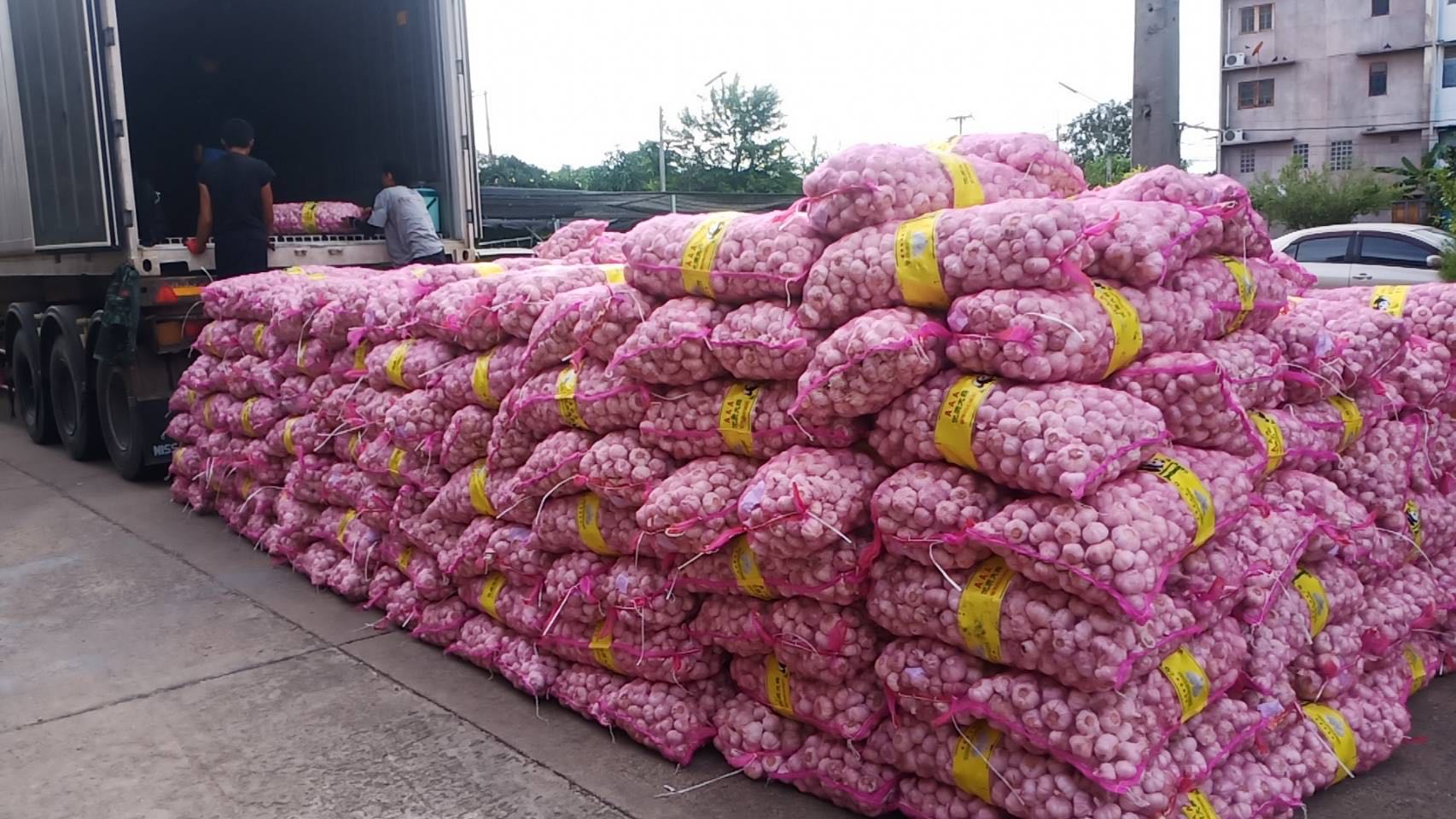Shanxi Fenghuang Mountain Manor Agricultural Science and Technology Park Co., Ltd. – fresh potatoes 3