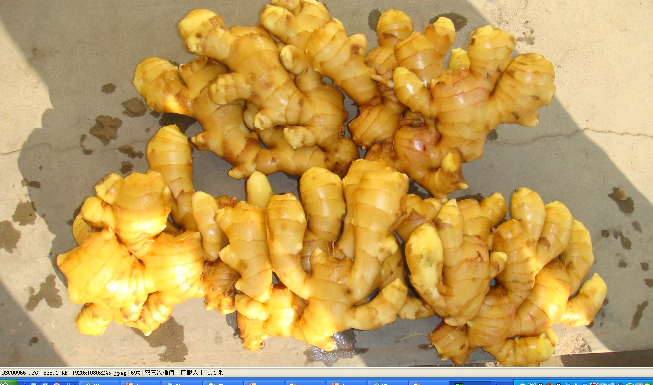 SHANDONG JUFU FOODS CO.,LTD – Fresh radish 3
