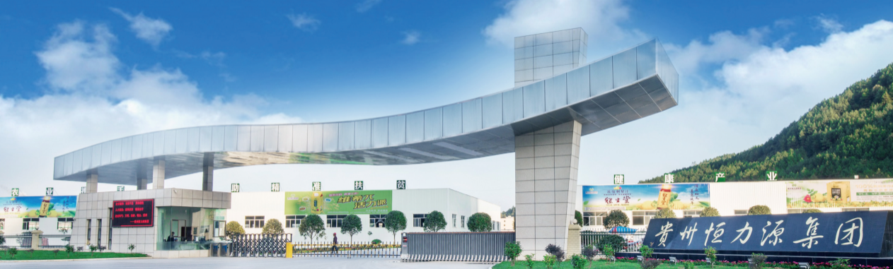 Guizhou Hengli Yuan Natural Biotechnology Co., Ltd. – Functional drinks 1
