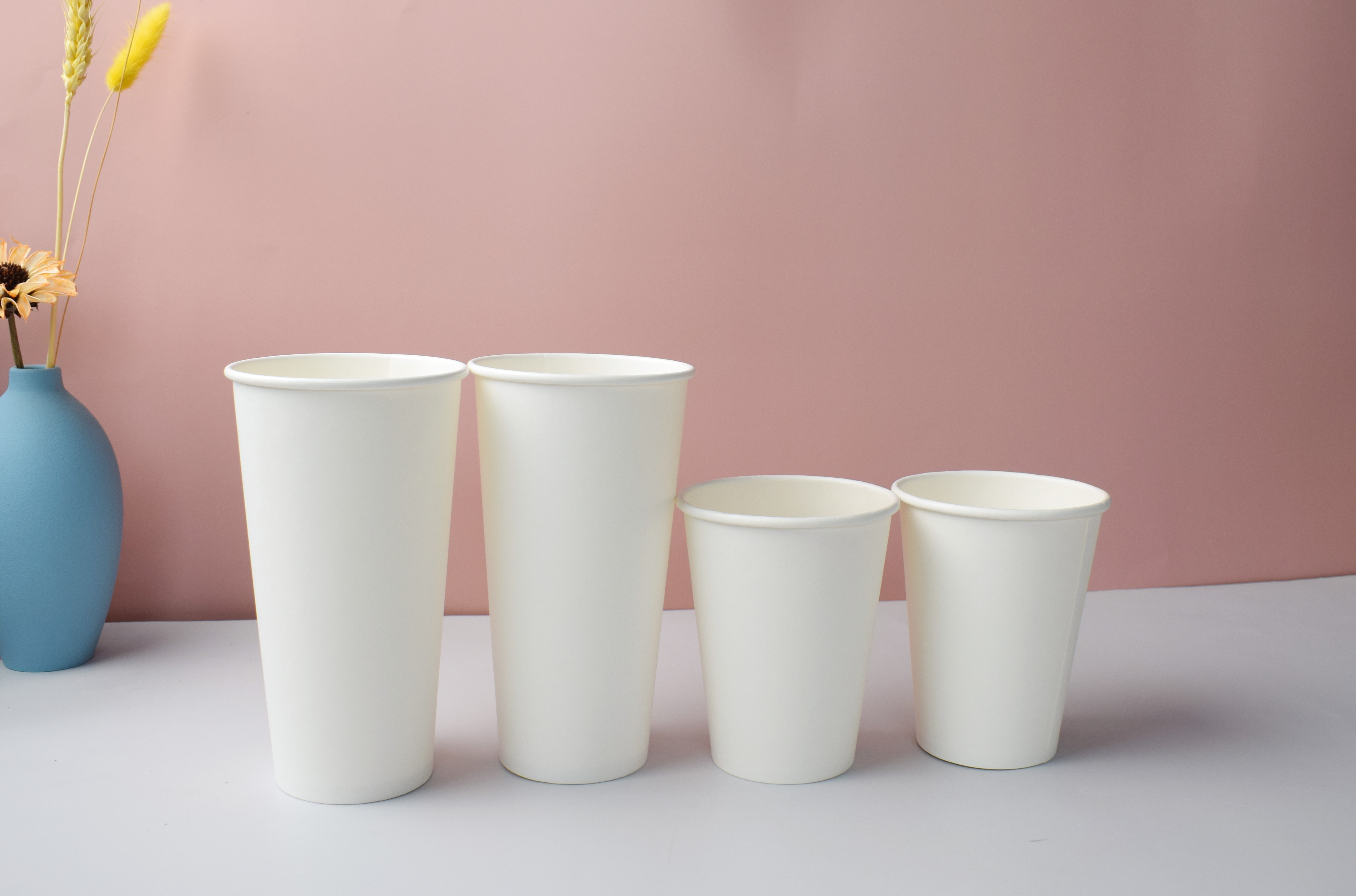 Enviromental paper cup