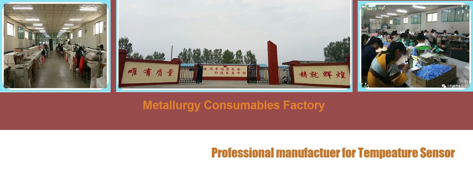 Shijiazhuang Wanli Xin Industrial and Trading Co., Ltd. – Other general machinery 1