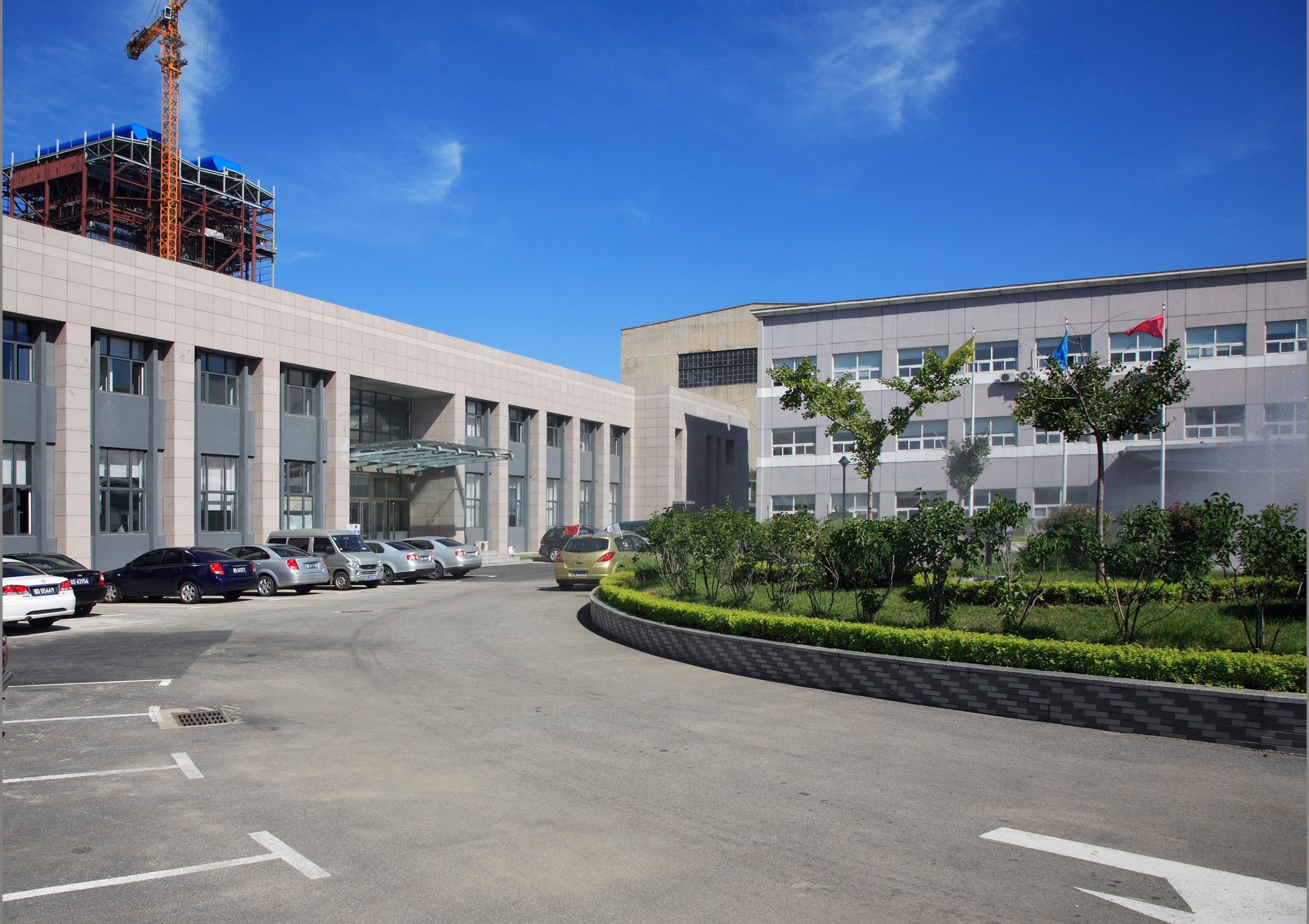 Henan Dinglong Trading Co., Ltd. – Other home textile products 1