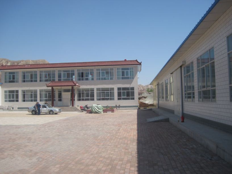 Gansu Liangxin Vegetable Preservation Co., Ltd. – angelica 3