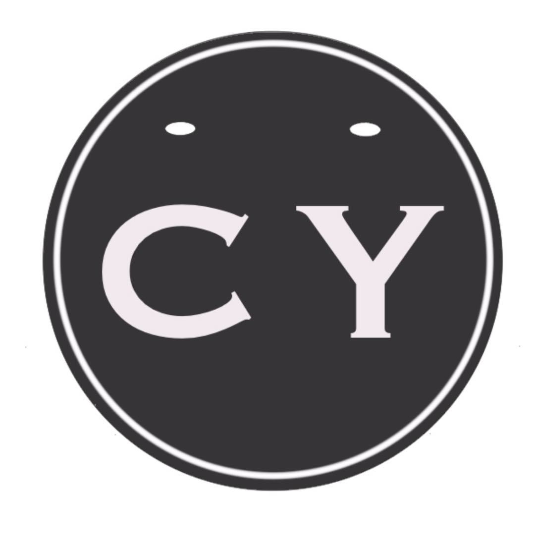 Tianjin Jinghai Chaoyue Industrial and Trade Co., Ltd.