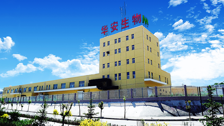 Linxia Hua'an Biological Products Co., Ltd. – Photos produits 3