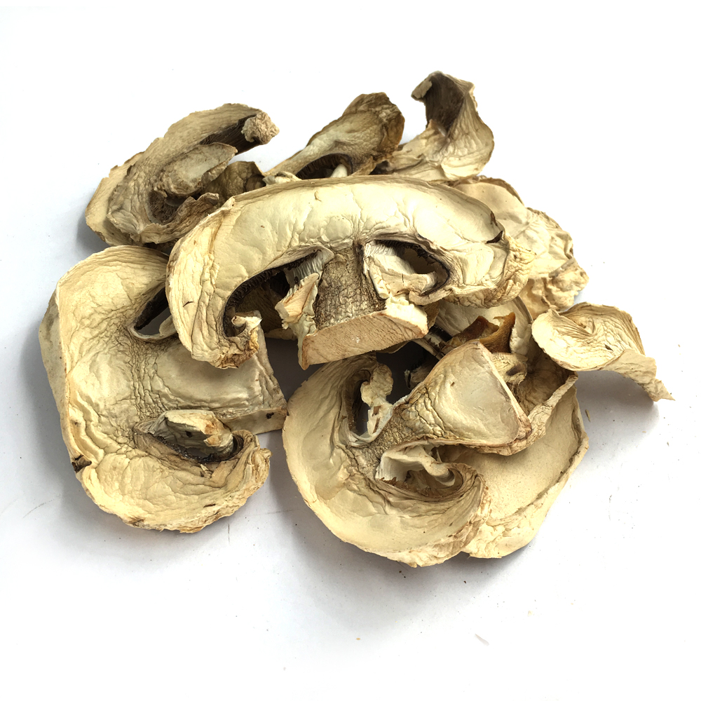 Champignon mushroom