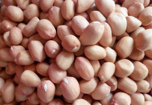 peanut kernel