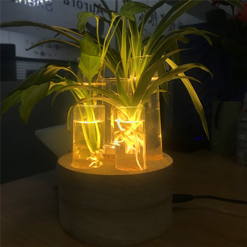 LED 植物生长灯 办公室装饰