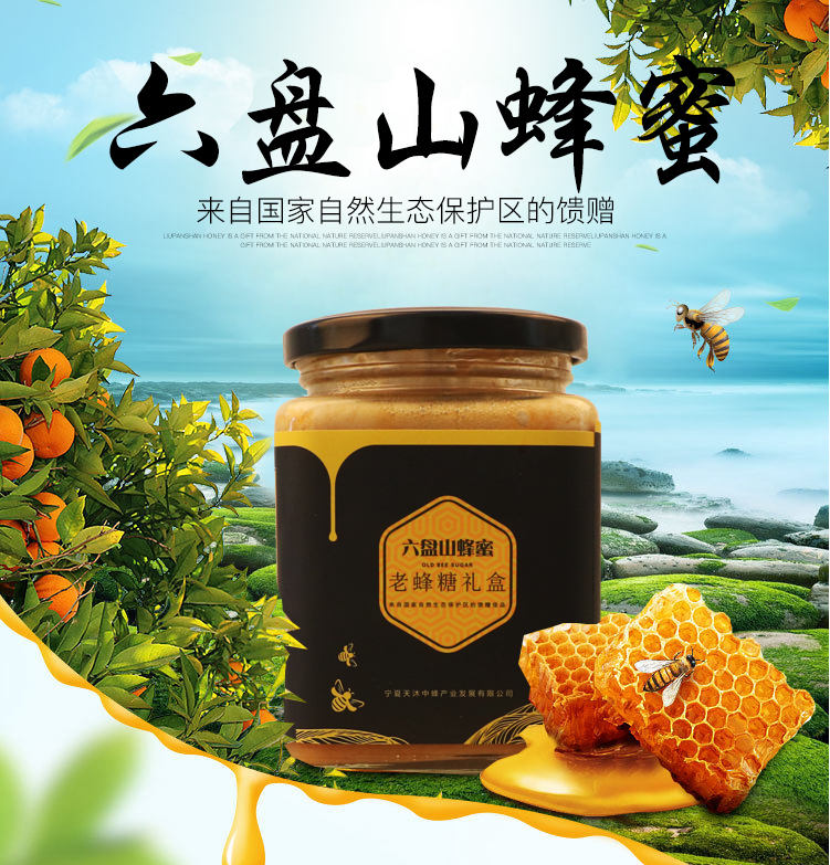 Ningxia Tianmu Chinese Bee Industry Development Co., Ltd. – Honey 1