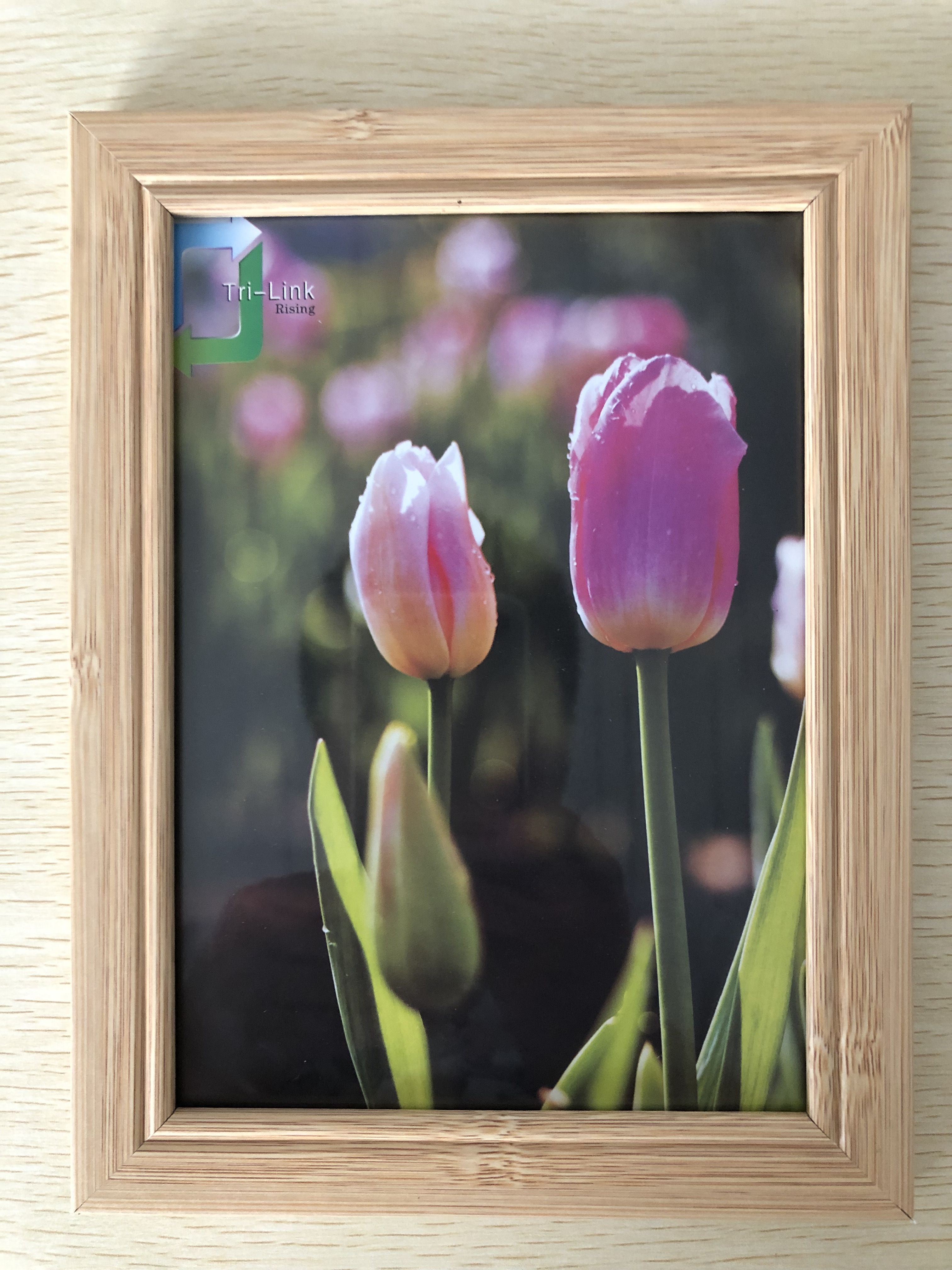 Photo frame bamboo