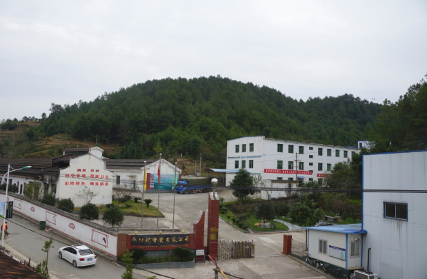 Sichuan Qingchuan Chuanzhen Industrial Co., Ltd. – Dried chili pepper 1