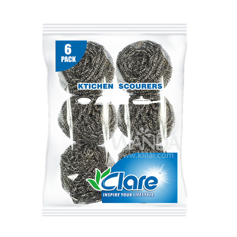 6pcs Stainless Steel Scourers