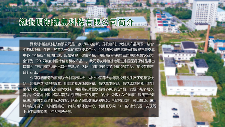 Hubei Mingmo Health Technology Co., Ltd. – Eye masks 1