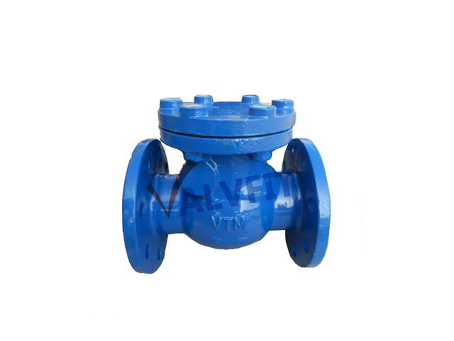 Check Valve