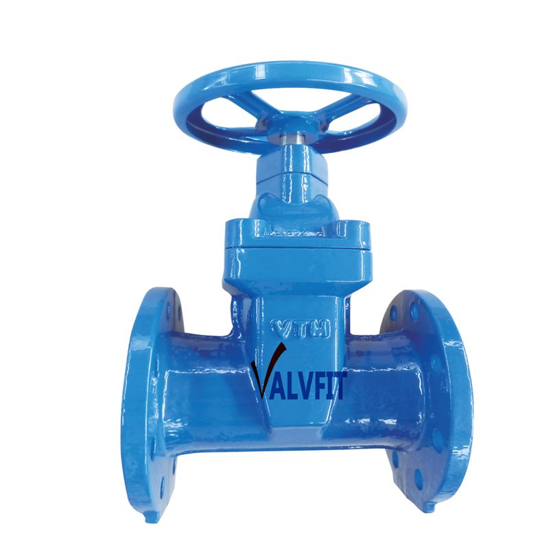 Ductile Iron Gate Valve BS5163 PN16