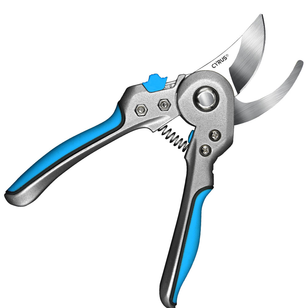 Bypass Pruner