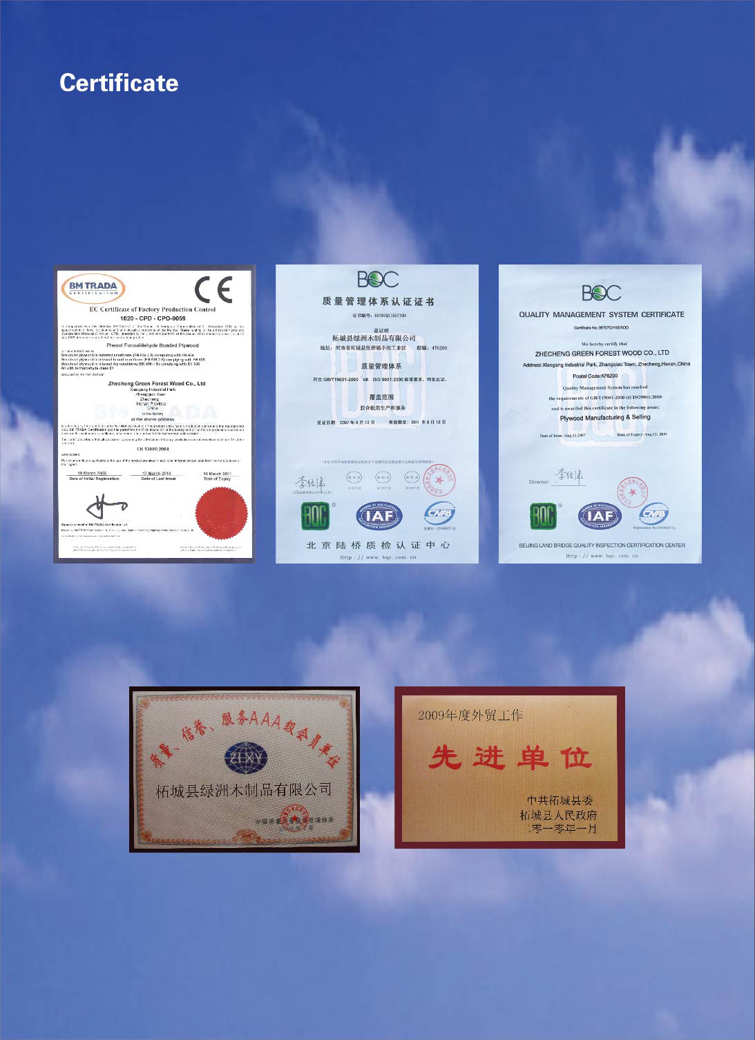 Zhecheng County Oasis Wood Products Co., Ltd. – building formwork 2