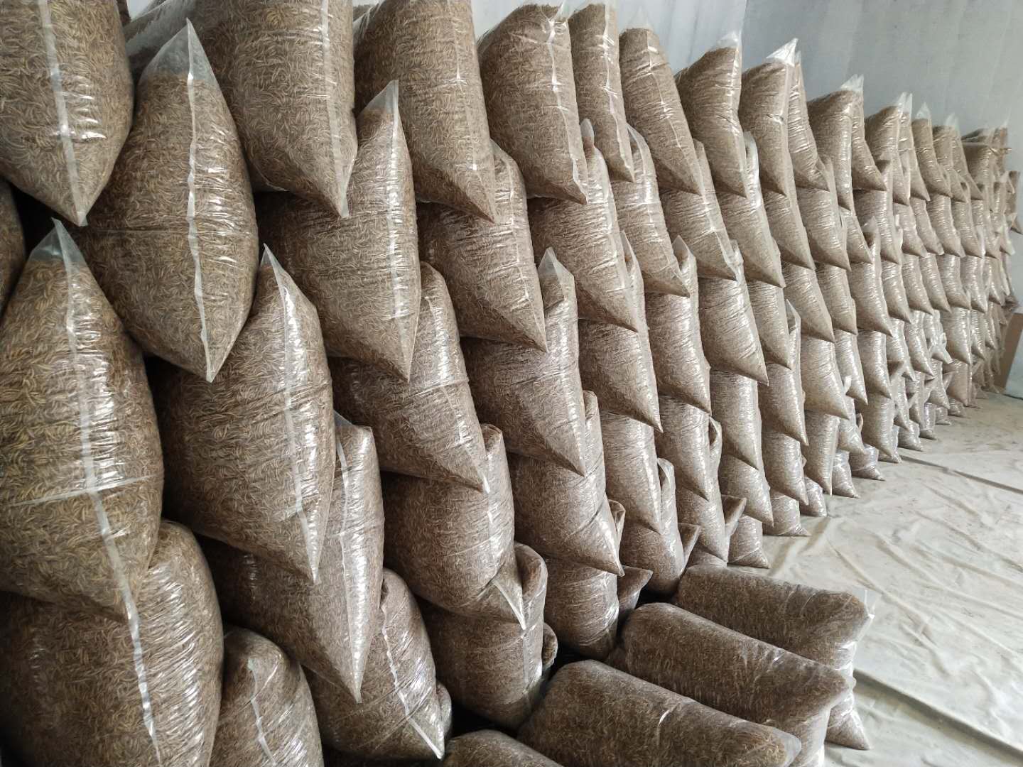 Fenxi Kang rui lai Bio-Technique Trade Co., Ltd – colchoneta de yoga 4