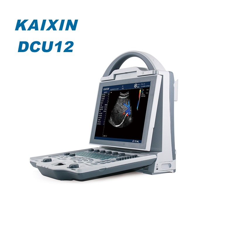 XUZHOU KAIXIN ELECTRONIC INSTRUMENT CO., LTD – raqueta de tenis 2