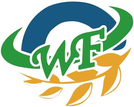 Dalian Weifeng International Trading Co., Ltd. – Pumpkin seed kernels 1