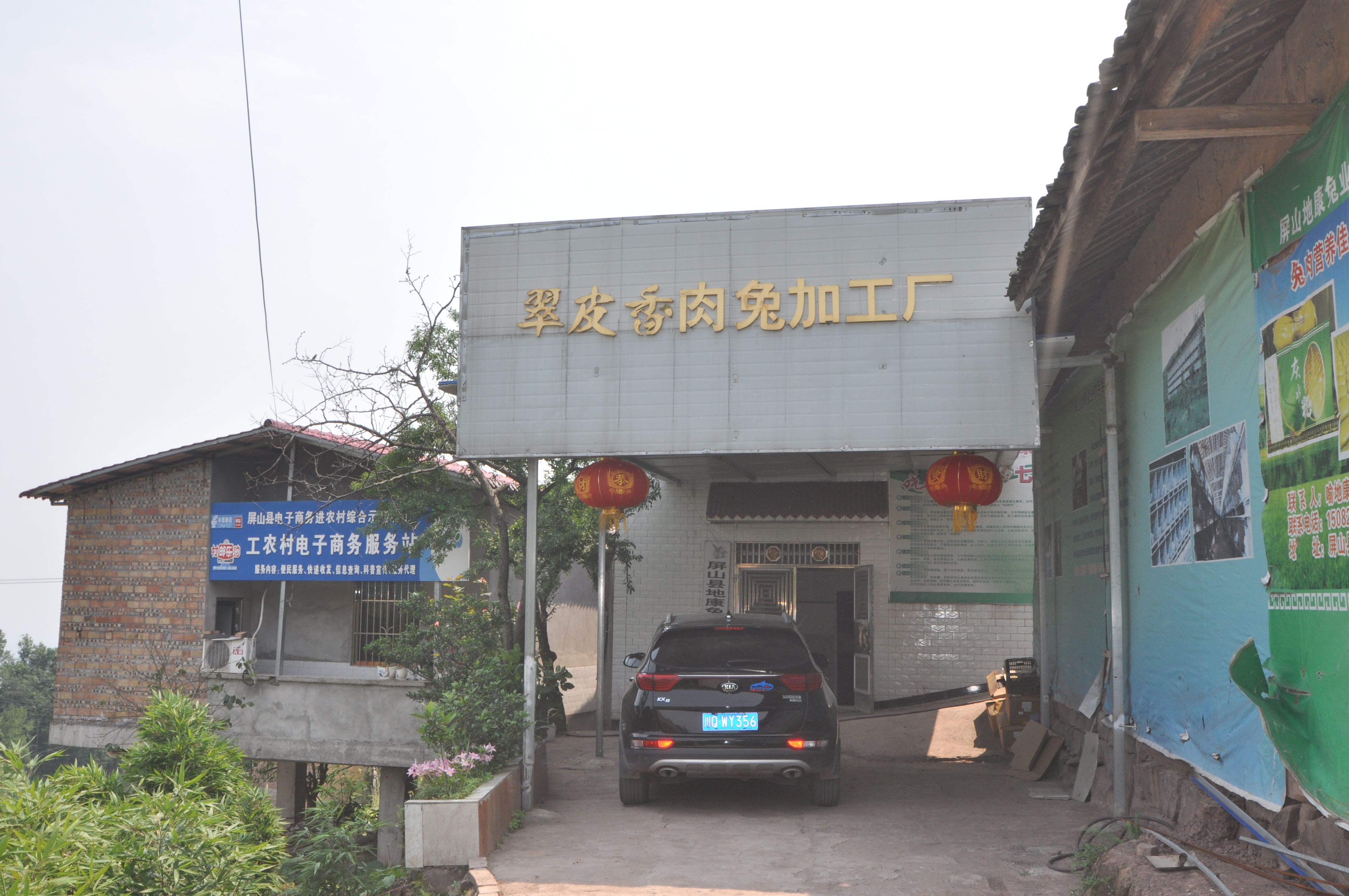 Pingshan County Dikang Rabbit Breeding Farmers Professional Cooperative – Photos produits 2