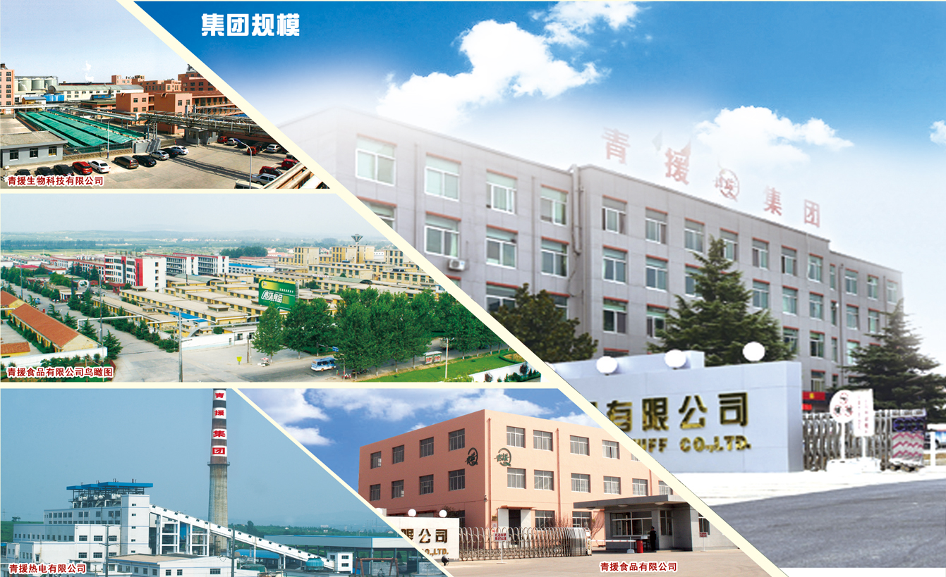 Qingyuan Food Co., Ltd. – Photos produits 1