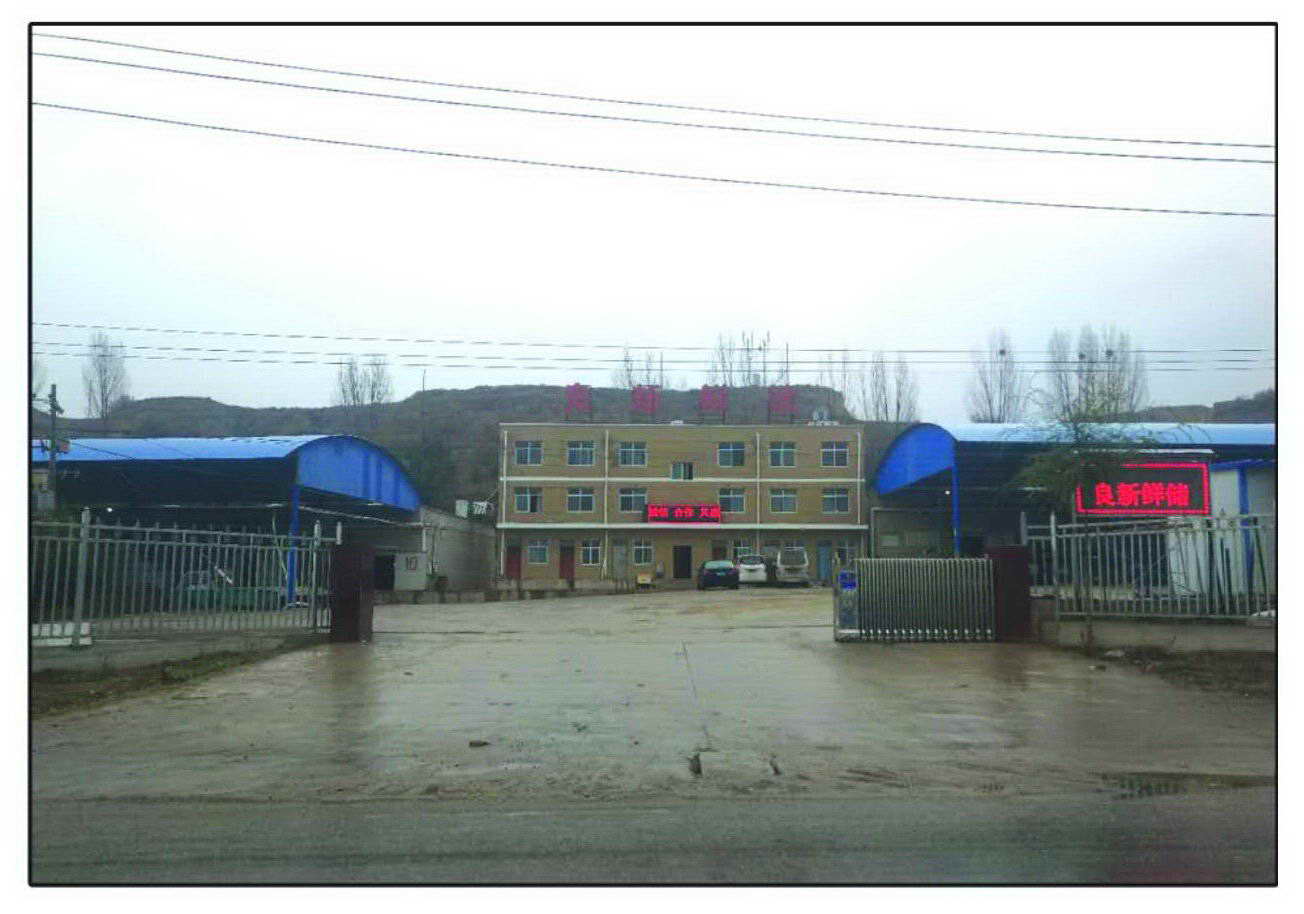 Gansu Liangxin Vegetable Preservation Co., Ltd. – Codonopsis 1