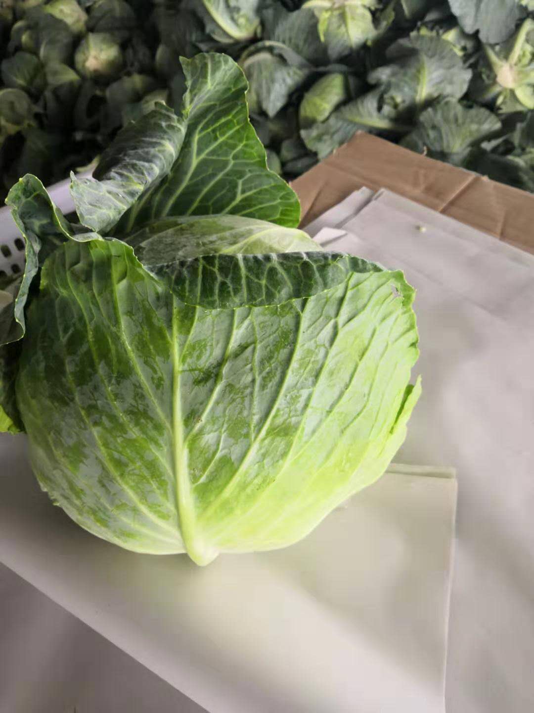 ZHANGBEI TIANLV AGRICULTURALDEVELOPMENT CO., LTD – colchoneta de yoga 4