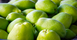 LIXIAN RICHSHINE FRUITS AND VEGETABLES CO.,LTD – bicicleta de montaña 3
