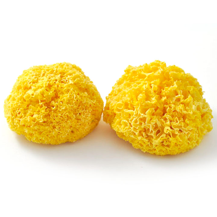 Dried white fungus/Snow fungus