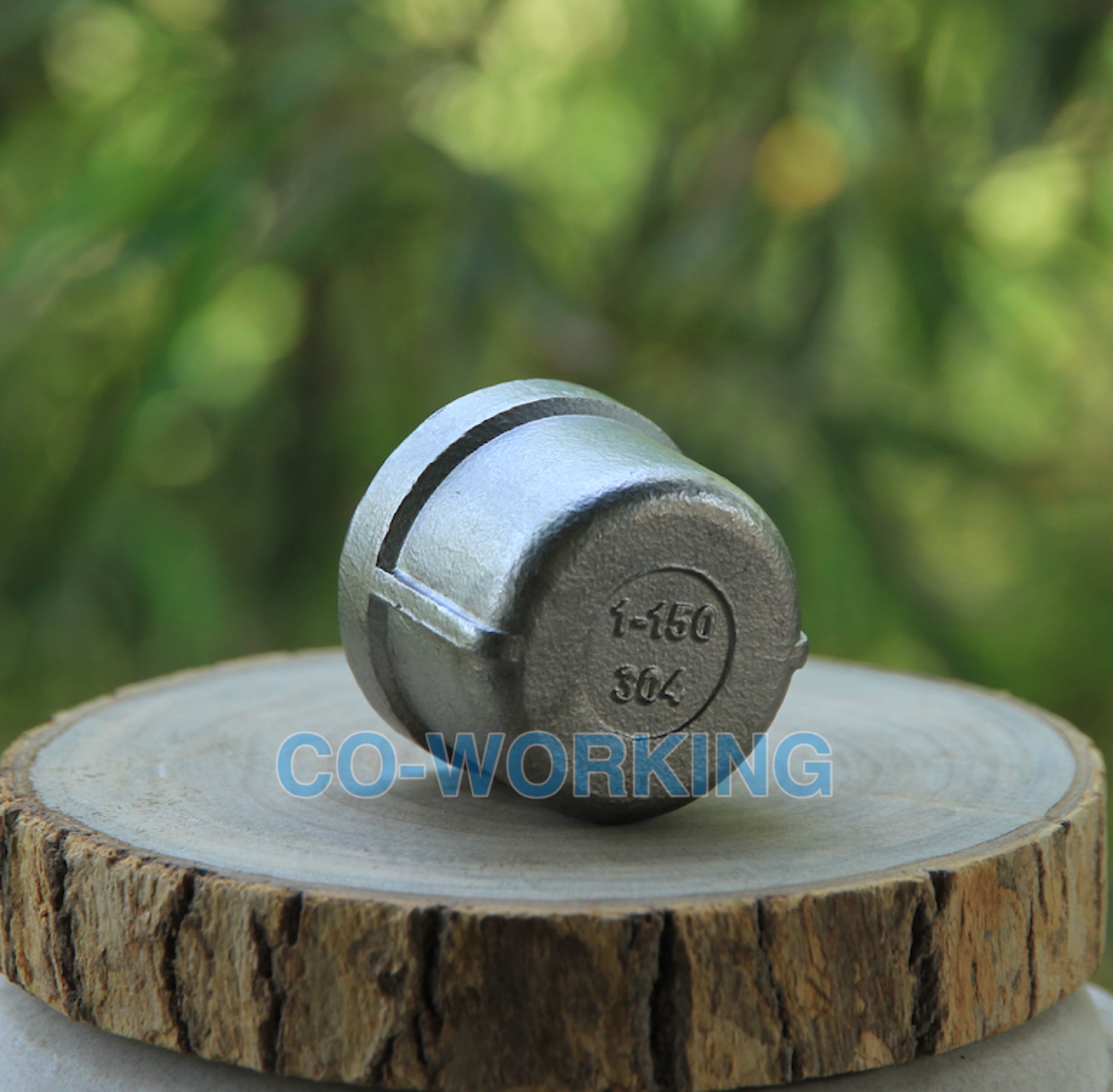 Stainless Steel Casting Cap