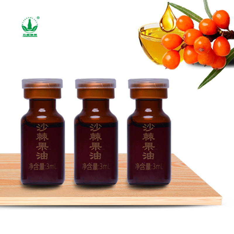 Shanxi Wutai mountain seabuckthorn Products Co., Ltd – sea buckthorn berry 4